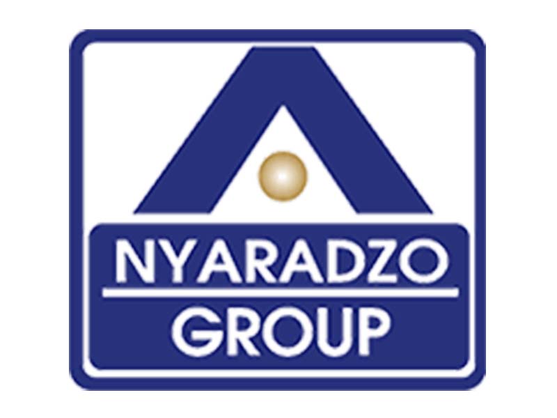 Nyaradzo Life Assurance logo